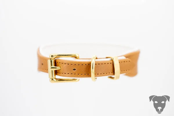 Hundehalsband feinst bestickt, handgefertigte Hundehalsbänder aus Meisterhand. Fettleder Halsband, Riemen Halsband oder klassisches Nappa Halsband, mit Lasergravur, Heiß Geprägt oder feinst bestickt, handmade-4-dogs