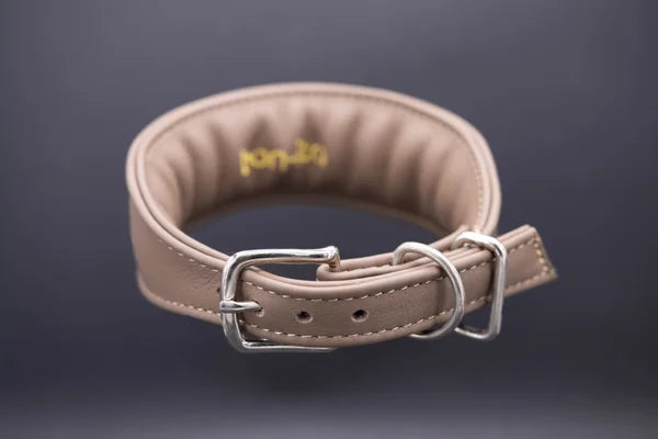Hundehalsband feinst bestickt, handgefertigte Hundehalsbänder aus Meisterhand. Fettleder Halsband, Riemen Halsband oder klassisches Nappa Halsband, mit Lasergravur, Heiß Geprägt oder feinst bestickt, handmade-4-dogs
