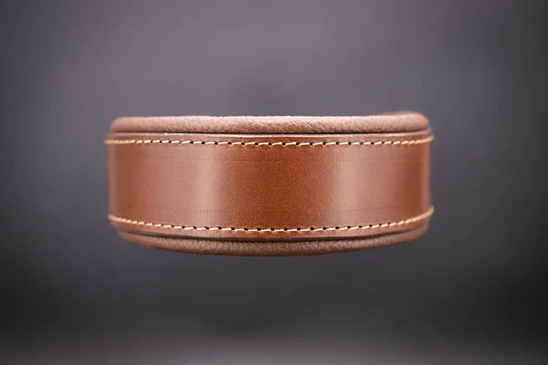Riemen Halsband, Hunde Halsband handgefertigt, Halsband Konfigurator, DIY Hundehalsband, Riemen Halsband handmade-4-dogs, Lasergravierter Steckverschluss, handgefertigtes Hundehalsband mit Edelstein