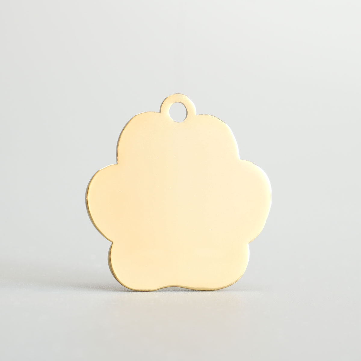 Nahaufnahme einer goldenen Hundemarke in Pfotenform Rückseite blank