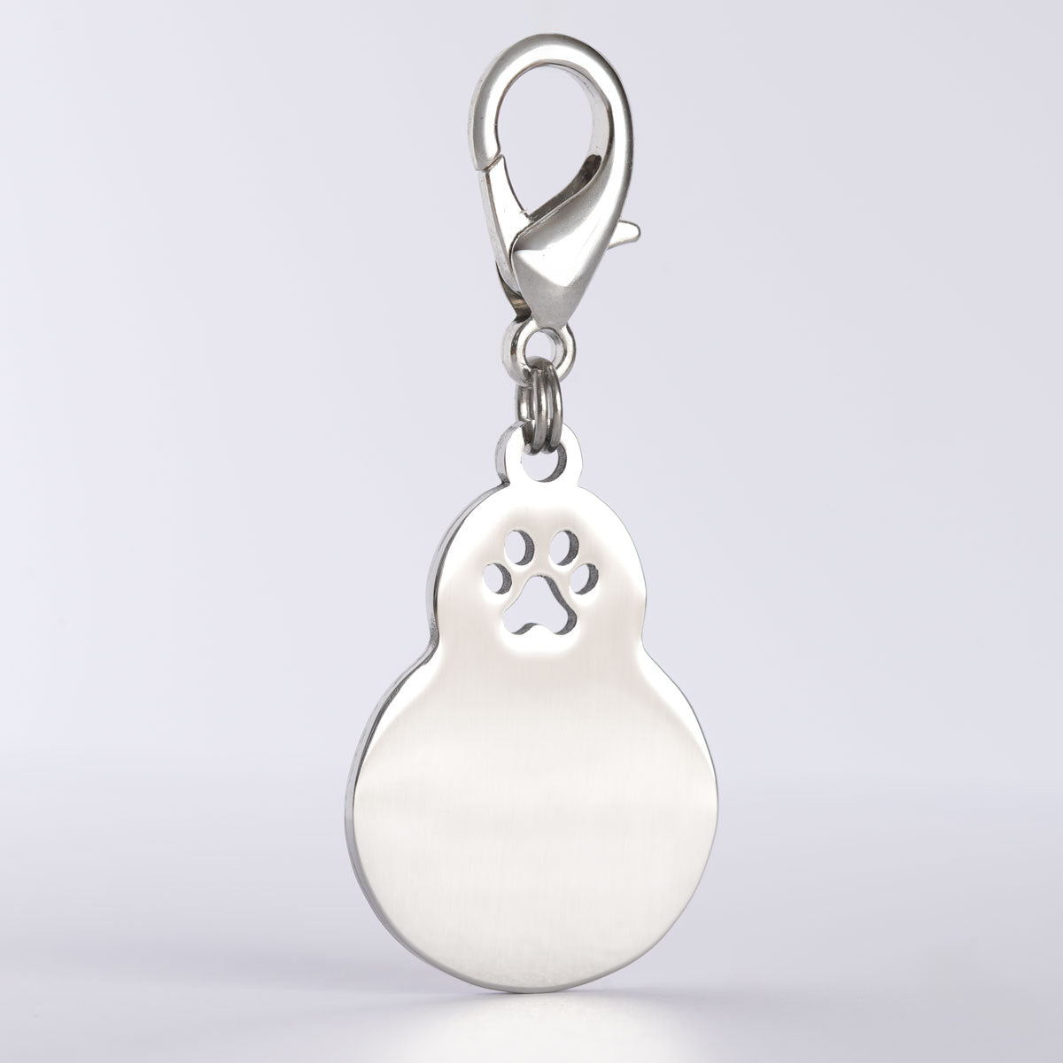 Blanko Hundemarke Kalebasse in silber mit Karabinerhaken