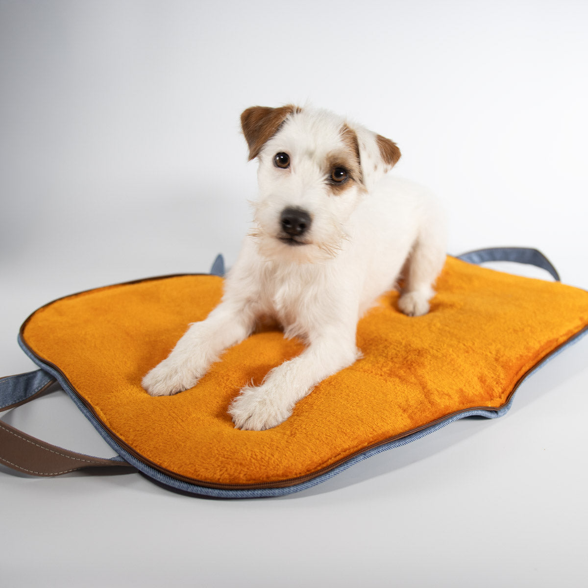 Parson Russell Terrier auf der gepolsterten orangefarbenen Liegefläche des Hundereisebetts