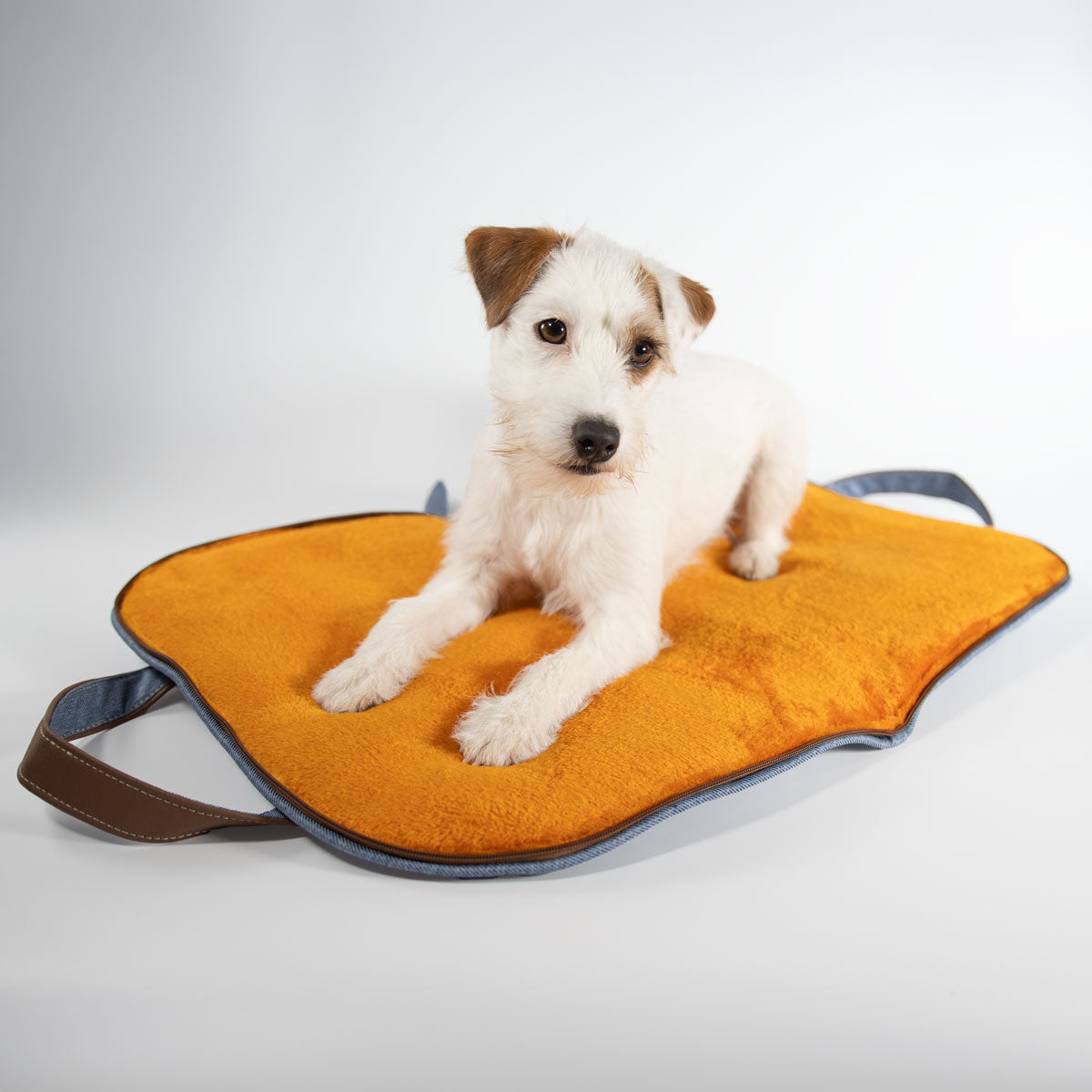 Parson Russell Terrier liegt auf dem geöffneten Hundereisebett in Denim und Sunset-Orange