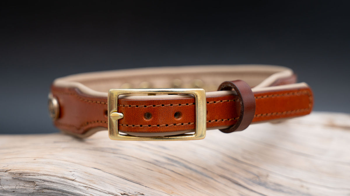Messing-Stegschnalle am Lederhalsband Fleur de Lys Gold in Cognac mit brauner Lederschlaufe und Verstelllöchern.