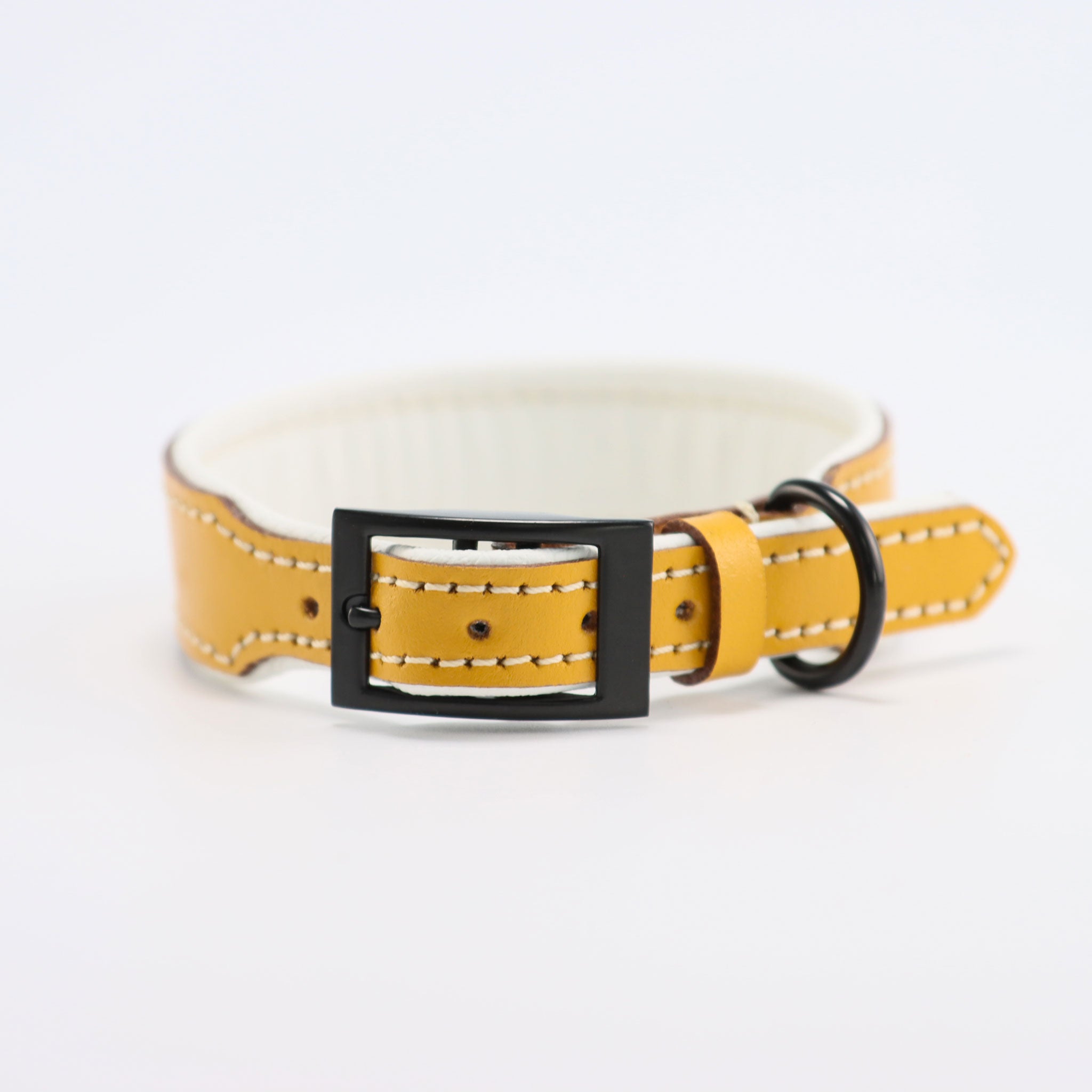 Schwarzer Schnallenverschluss am gelben Lederhalsband für Hunde