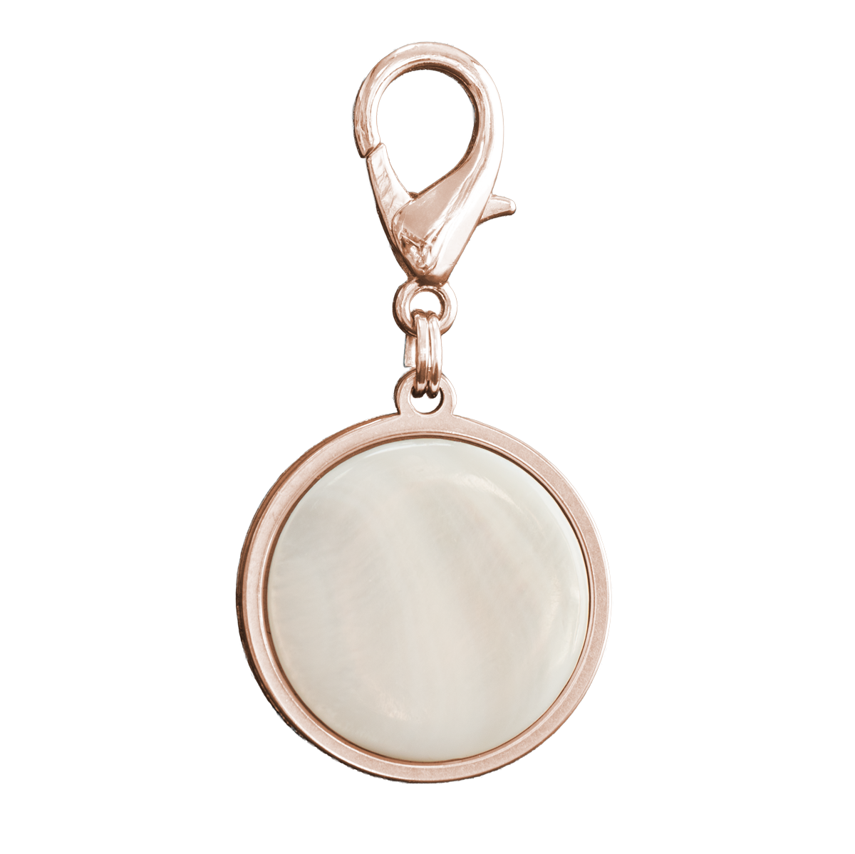 Rosegoldene Muschel Hundemarke rohling