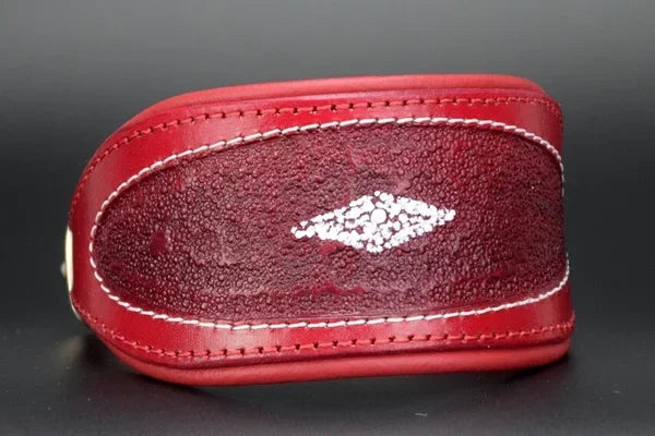 Riemen Halsband, Hunde Halsband handgefertigt, Halsband Konfigurator, DIY Hundehalsband, Riemen Halsband handmade-4-dogs, Lasergravierter Steckverschluss