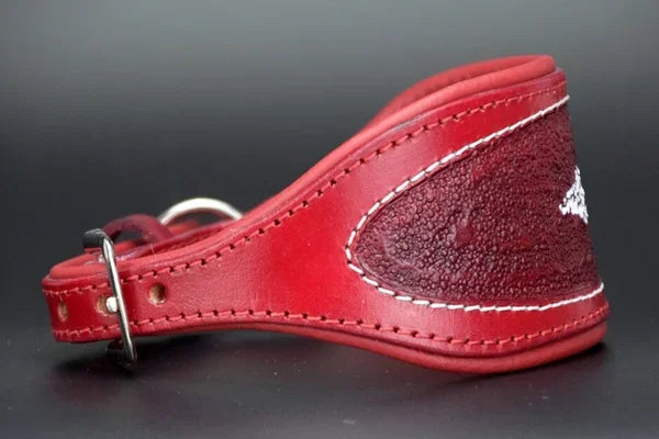 Riemen Halsband, Hunde Halsband handgefertigt, Halsband Konfigurator, DIY Hundehalsband, Riemen Halsband handmade-4-dogs, Lasergravierter Steckverschluss