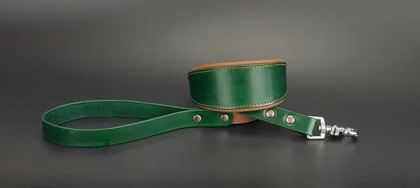 Riemen Halsband, Hunde Halsband handgefertigt, Halsband Konfigurator, DIY Hundehalsband, Riemen Halsband handmade-4-dogs, Lasergravierter Steckverschluss, handgefertigtes Hundehalsband mit Edelstein