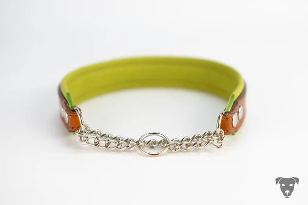 Riemen Halsband, Hunde Halsband handgefertigt, Halsband Konfigurator, DIY Hundehalsband, Riemen Halsband handmade-4-dogs, Lasergravierter Steckverschluss, handgefertigtes Hundehalsband mit Edelstein