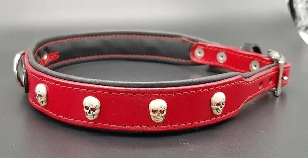 Riemen Halsband, Hunde Halsband handgefertigt, Halsband Konfigurator, DIY Hundehalsband, Riemen Halsband handmade-4-dogs, Lasergravierter Steckverschluss