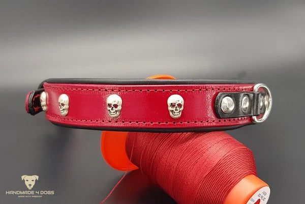 Riemen Halsband, Hunde Halsband handgefertigt, Halsband Konfigurator, DIY Hundehalsband, Riemen Halsband handmade-4-dogs, Lasergravierter Steckverschluss