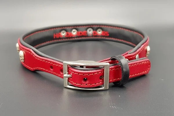 Riemen Halsband, Hunde Halsband handgefertigt, Halsband Konfigurator, DIY Hundehalsband, Riemen Halsband handmade-4-dogs, Lasergravierter Steckverschluss