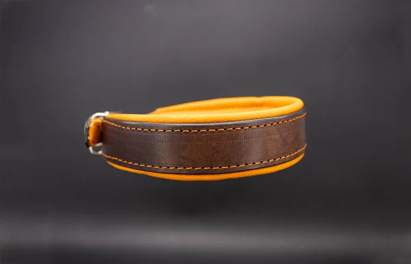 Riemen Halsband, Hunde Halsband handgefertigt, Halsband Konfigurator, DIY Hundehalsband, Riemen Halsband handmade-4-dogs, Lasergravierter Steckverschluss, handgefertigtes Hundehalsband mit Edelstein