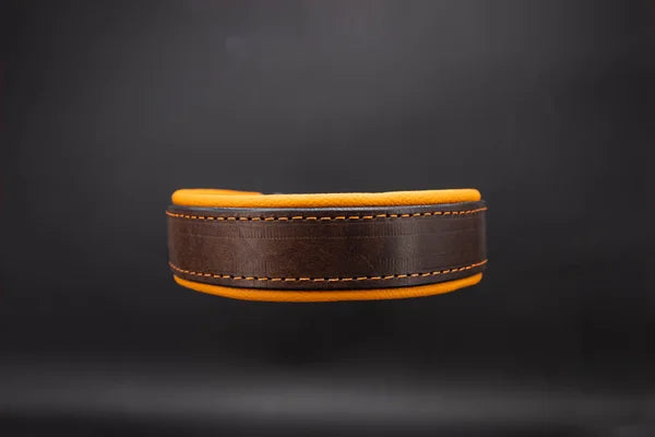 Riemen Halsband, Hunde Halsband handgefertigt, Halsband Konfigurator, DIY Hundehalsband, Riemen Halsband handmade-4-dogs, Lasergravierter Steckverschluss, handgefertigtes Hundehalsband mit Edelstein