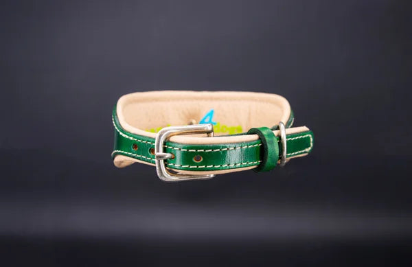 Riemen Halsband, Hunde Halsband handgefertigt, Halsband Konfigurator, DIY Hundehalsband, Riemen Halsband handmade-4-dogs, Lasergravierter Steckverschluss, handgefertigtes Hundehalsband mit Edelstein
