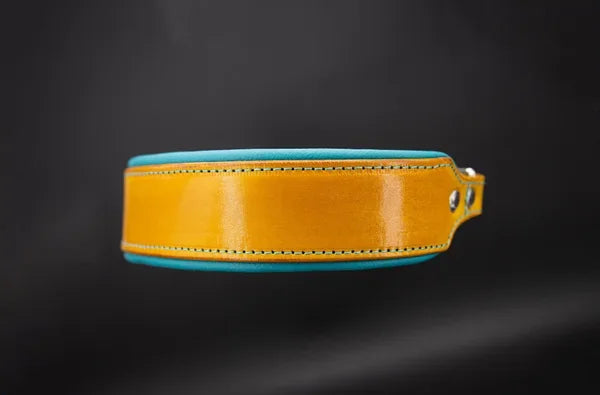 Riemen Halsband, Hunde Halsband handgefertigt, Halsband Konfigurator, DIY Hundehalsband, Riemen Halsband handmade-4-dogs, Lasergravierter Steckverschluss, handgefertigtes Hundehalsband mit Edelstein