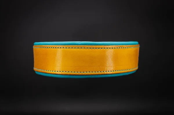 Riemen Halsband, Hunde Halsband handgefertigt, Halsband Konfigurator, DIY Hundehalsband, Riemen Halsband handmade-4-dogs, Lasergravierter Steckverschluss, handgefertigtes Hundehalsband mit Edelstein