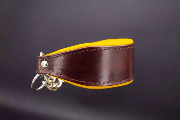 Riemen Halsband, Hunde Halsband handgefertigt, Halsband Konfigurator, DIY Hundehalsband, Riemen Halsband handmade-4-dogs, Lasergravierter Steckverschluss, handgefertigtes Hundehalsband mit Edelstein