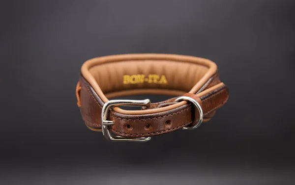 Riemen Halsband, Hunde Halsband handgefertigt, Halsband Konfigurator, DIY Hundehalsband, Riemen Halsband handmade-4-dogs, Lasergravierter Steckverschluss, handgefertigtes Hundehalsband mit Edelstein