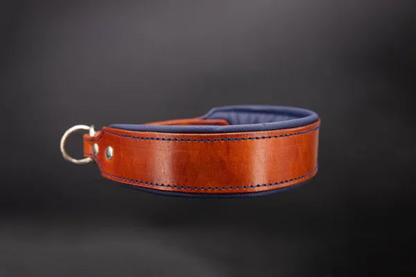 Riemen Halsband, Hunde Halsband handgefertigt, Halsband Konfigurator, DIY Hundehalsband, Riemen Halsband handmade-4-dogs, Lasergravierter Steckverschluss