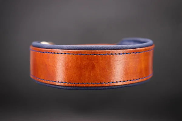 Riemen Halsband, Hunde Halsband handgefertigt, Halsband Konfigurator, DIY Hundehalsband, Riemen Halsband handmade-4-dogs, Lasergravierter Steckverschluss