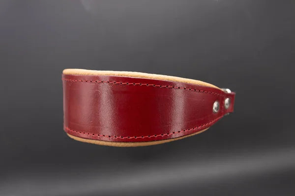 Riemen Halsband, Hunde Halsband handgefertigt, Halsband Konfigurator, DIY Hundehalsband, Riemen Halsband handmade-4-dogs, Lasergravierter Steckverschluss