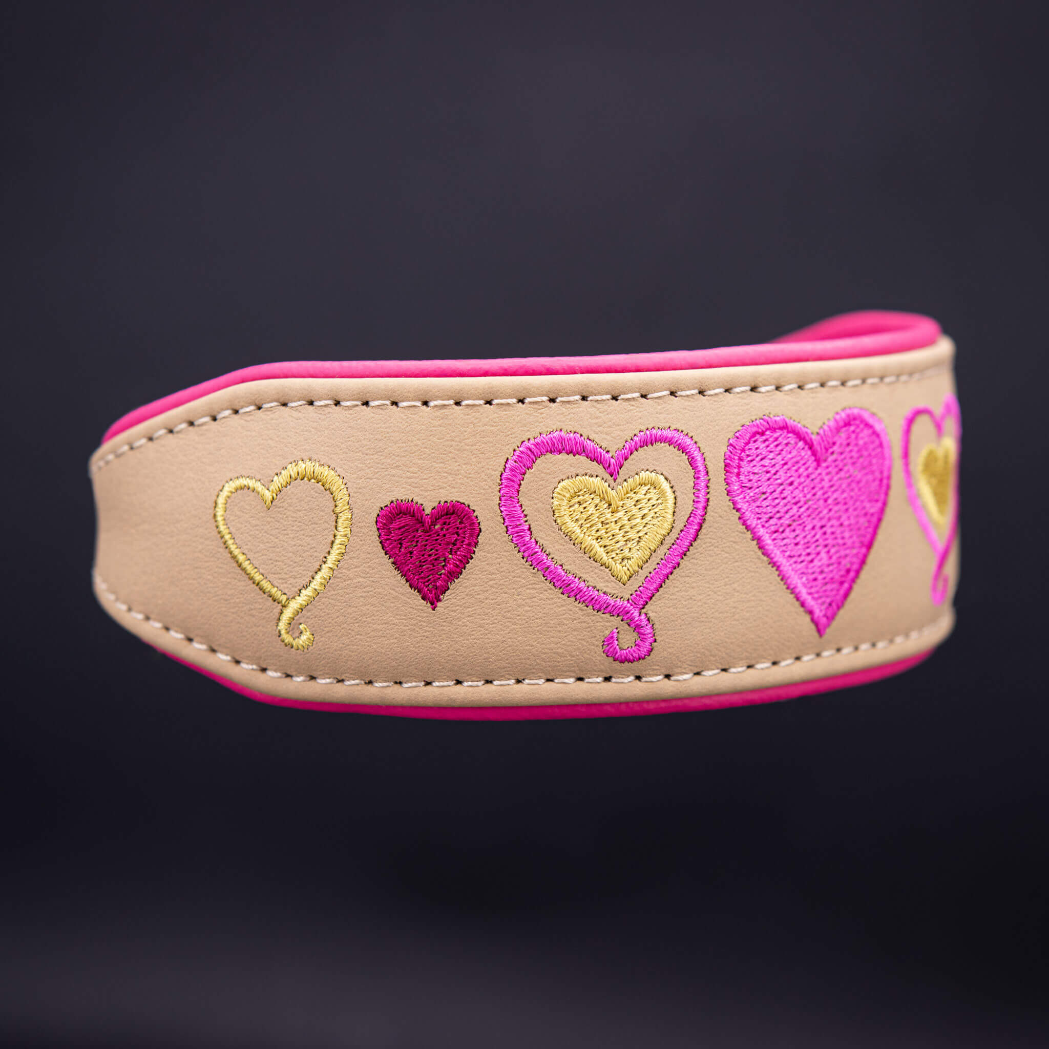 Detailansicht Verschluss: Hundehalsband mit Messing-Schnalle und pinker Lederpolsterung