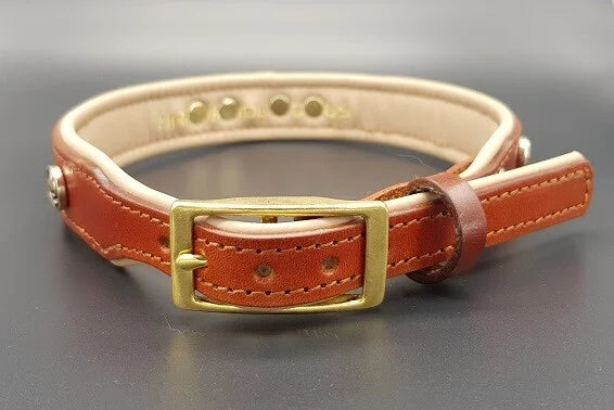 Riemen Halsband, Hunde Halsband handgefertigt, Halsband Konfigurator, DIY Hundehalsband, Riemen Halsband  handmade-4-dogs, Lasergravierter Steckverschluss, handgefertigtes Hundehalsband mit Edelstein