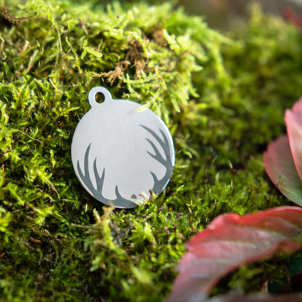 eine gravierte Hundemarke aus Edelstahl mit Geweih GRavur liegt auf einem Moosbett 