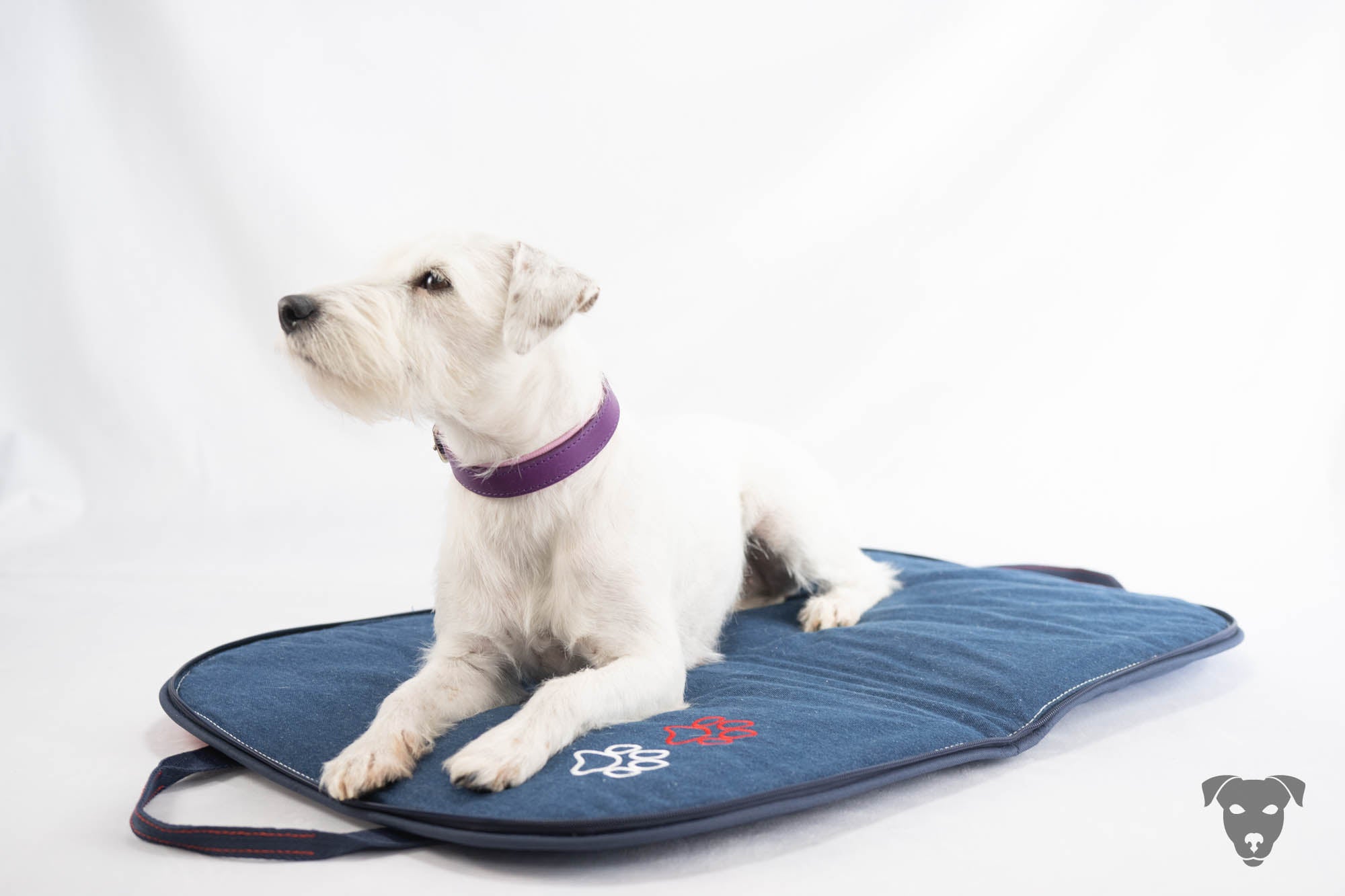Hundehalsband feinst bestickt, handgefertigte Hundehalsbänder aus Meisterhand. Fettleder Halsband, Riemen Halsband oder klassisches Nappa Halsband, mit Lasergravur, Heiß Geprägt oder feinst bestickt, handmade-4-dogs, Ksandi Equus