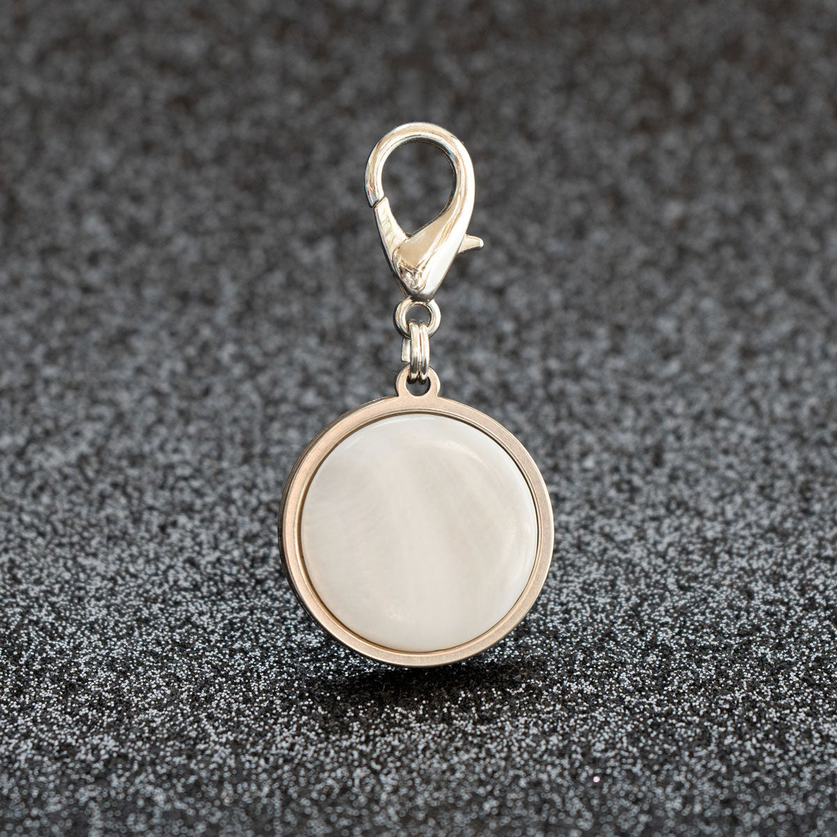 rohling für personalisierte Hundemarke aus weißer Muschel in silberner Edelstahl-Lünette