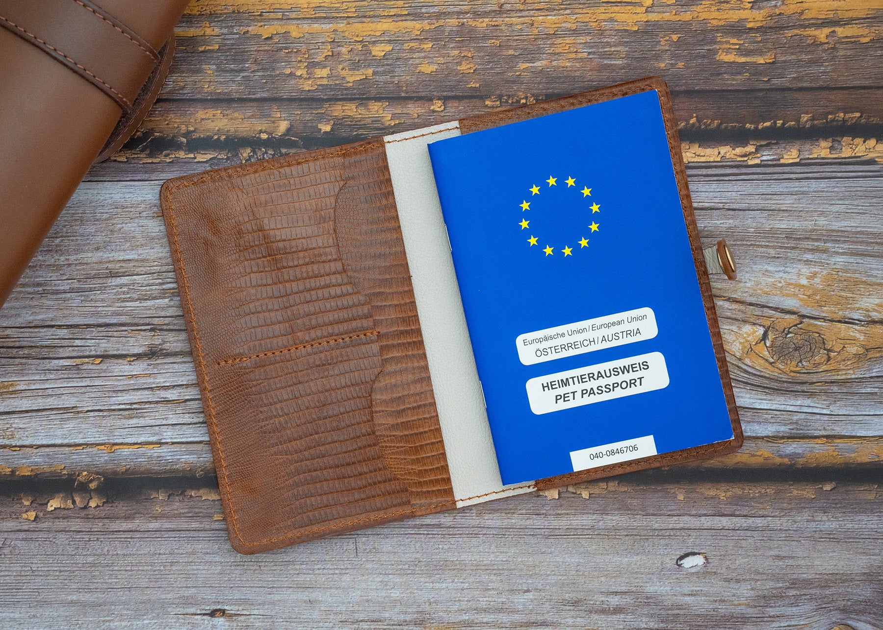 Impfpasshülle Echse