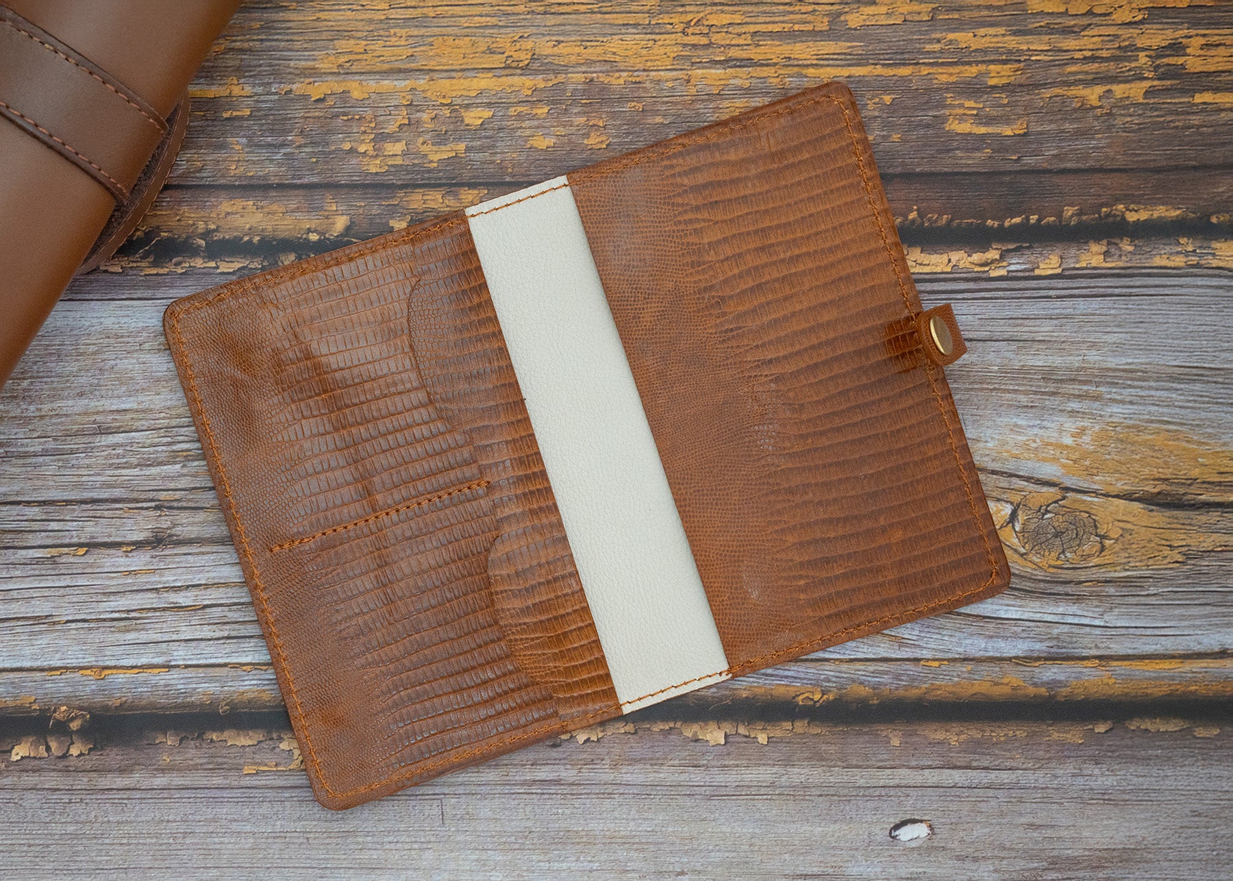 Impfpasshülle Echse