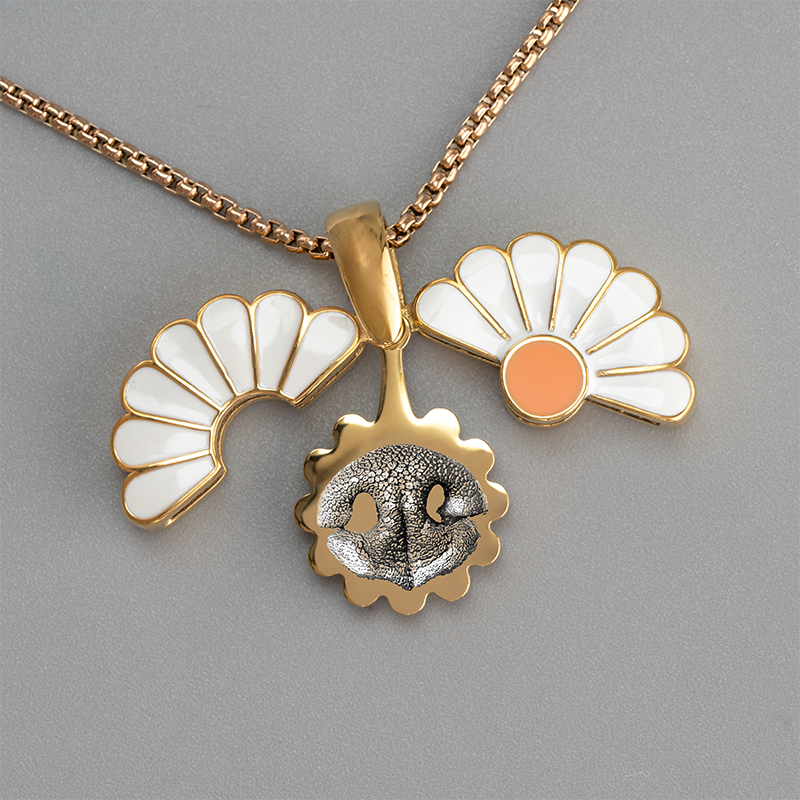 Margeriten Medaillon mit Abdruck
