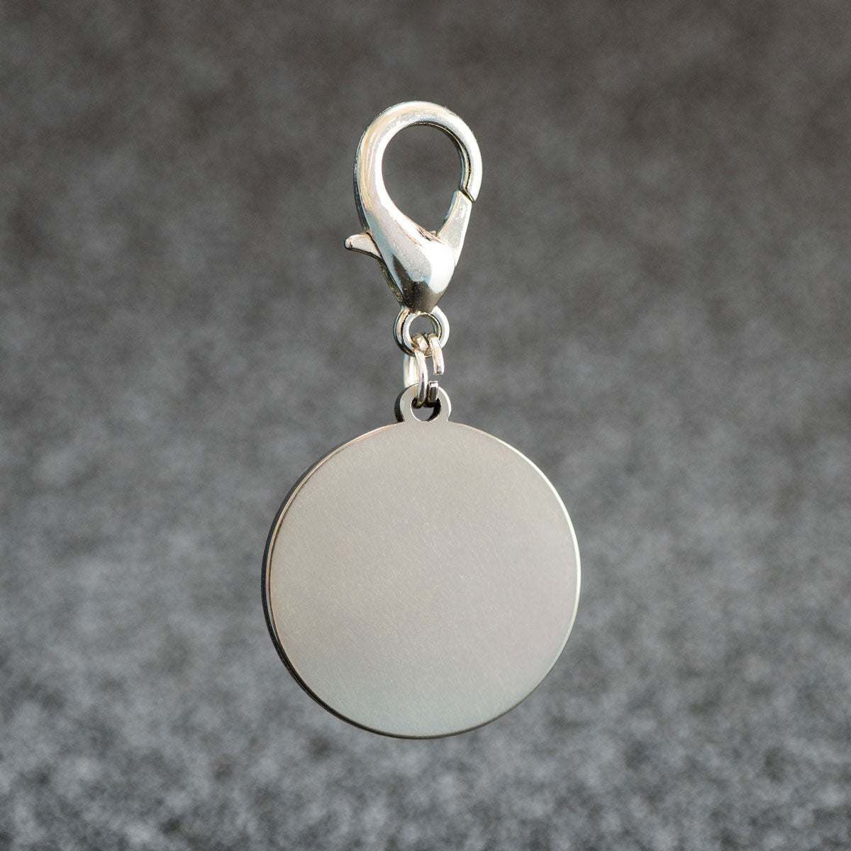 Edelstahl-Lünette für Hundemarke Rueckseite unbehandelt