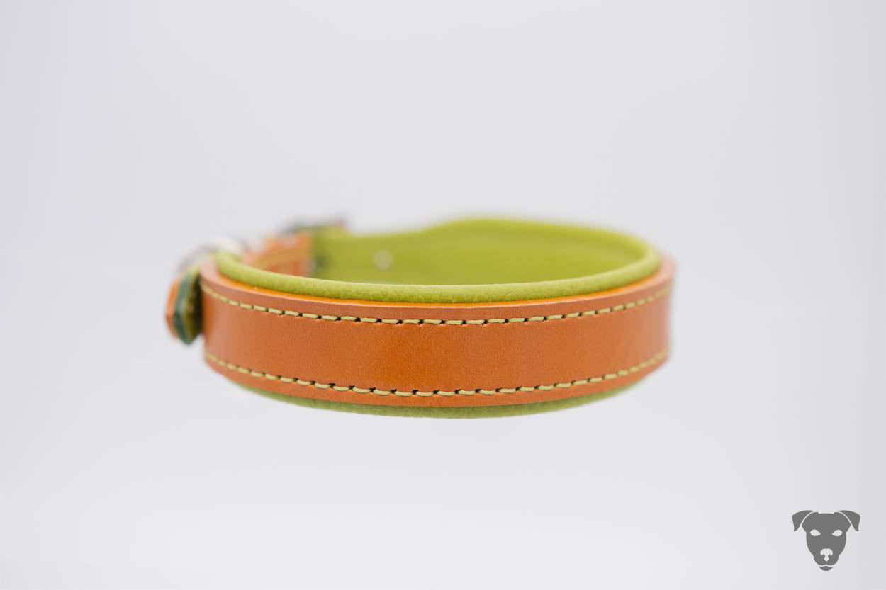 Riemen Halsband, Hunde Halsband handgefertigt, Halsband Konfigurator, DIY Hundehalsband, Riemen Halsband  handmade-4-dogs, Lasergravierter Steckverschluss