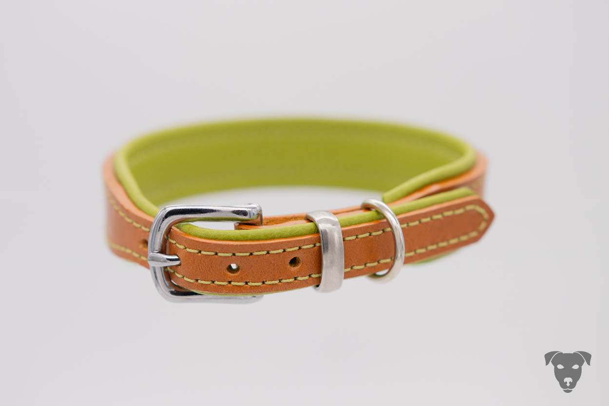 Riemen Halsband, Hunde Halsband handgefertigt, Halsband Konfigurator, DIY Hundehalsband, Riemen Halsband  handmade-4-dogs, Lasergravierter Steckverschluss