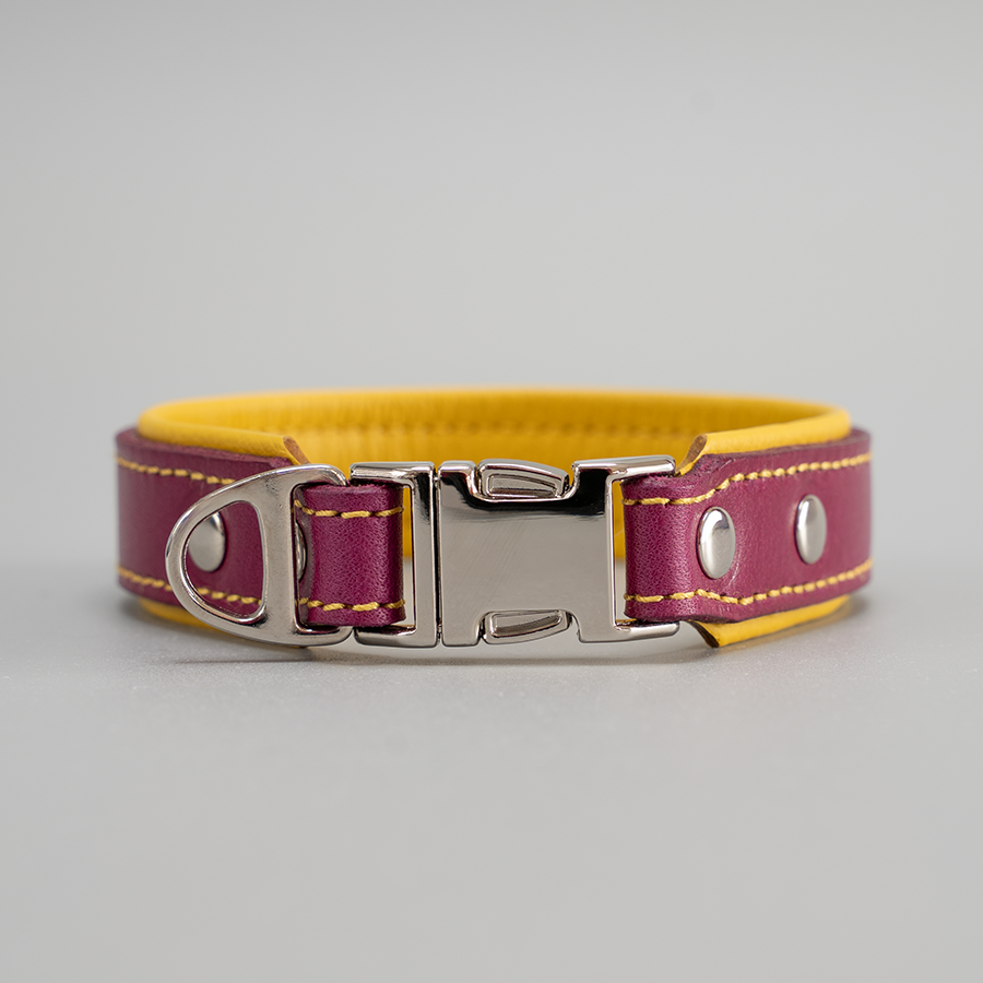 Riemen Halsband - magenta & gelb