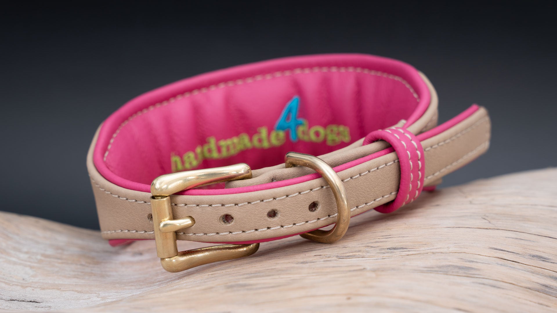 Detailansicht Verschluss: Hundehalsband mit Messing-Schnalle und pinker Lederpolsterung