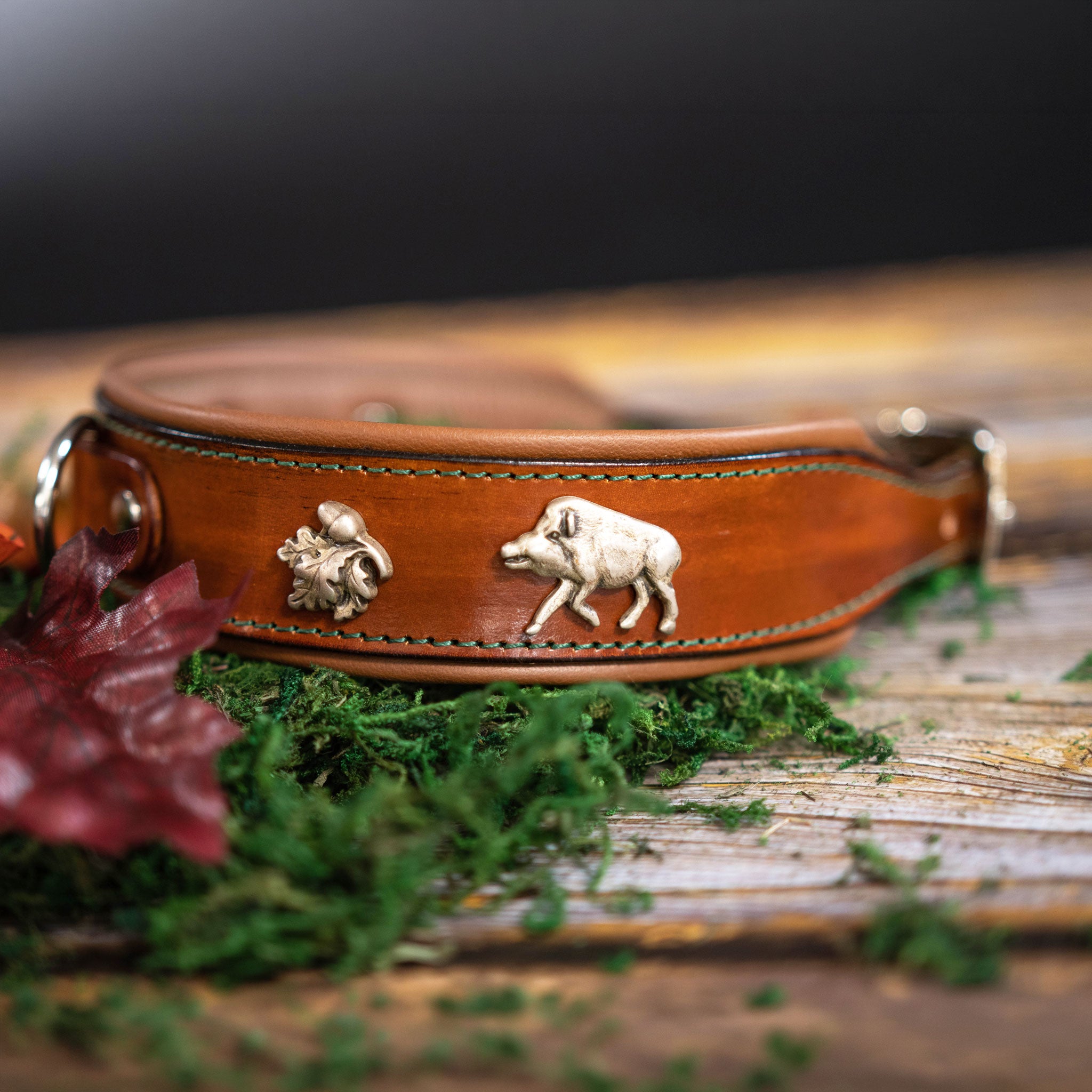 exklusives-lederhalsband-mit-Ziernieten-im-jagddesign. zu sehen ist ein Wildschwein und Eichenlaub auf einem rehbraunen lederriemen
