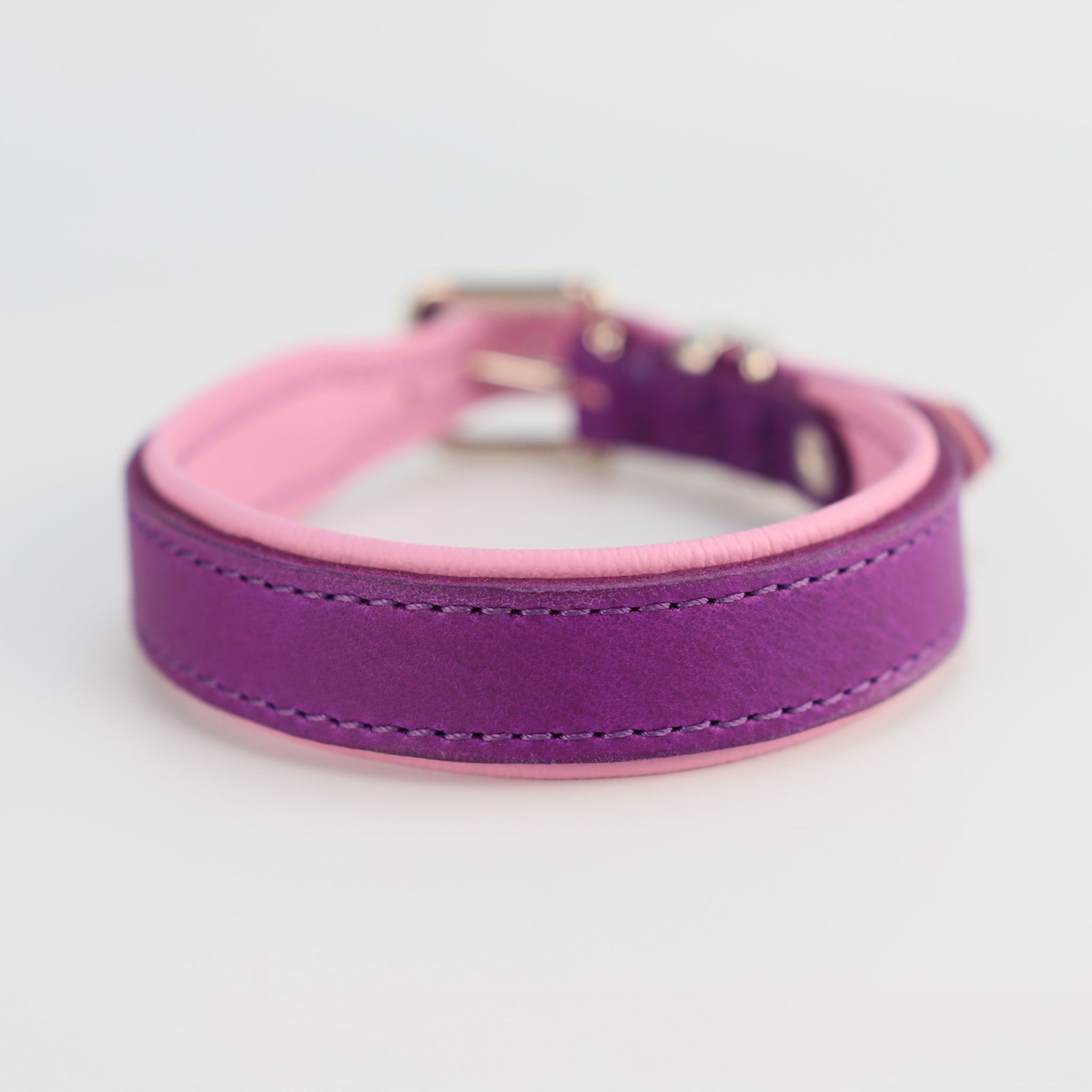 Robustes, gepolstertes Fettlederhalsband in Lila und Orchidee – Fokus auf die ergonomische Form