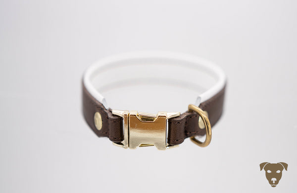 Grease leather collar - brown/white - BRASS