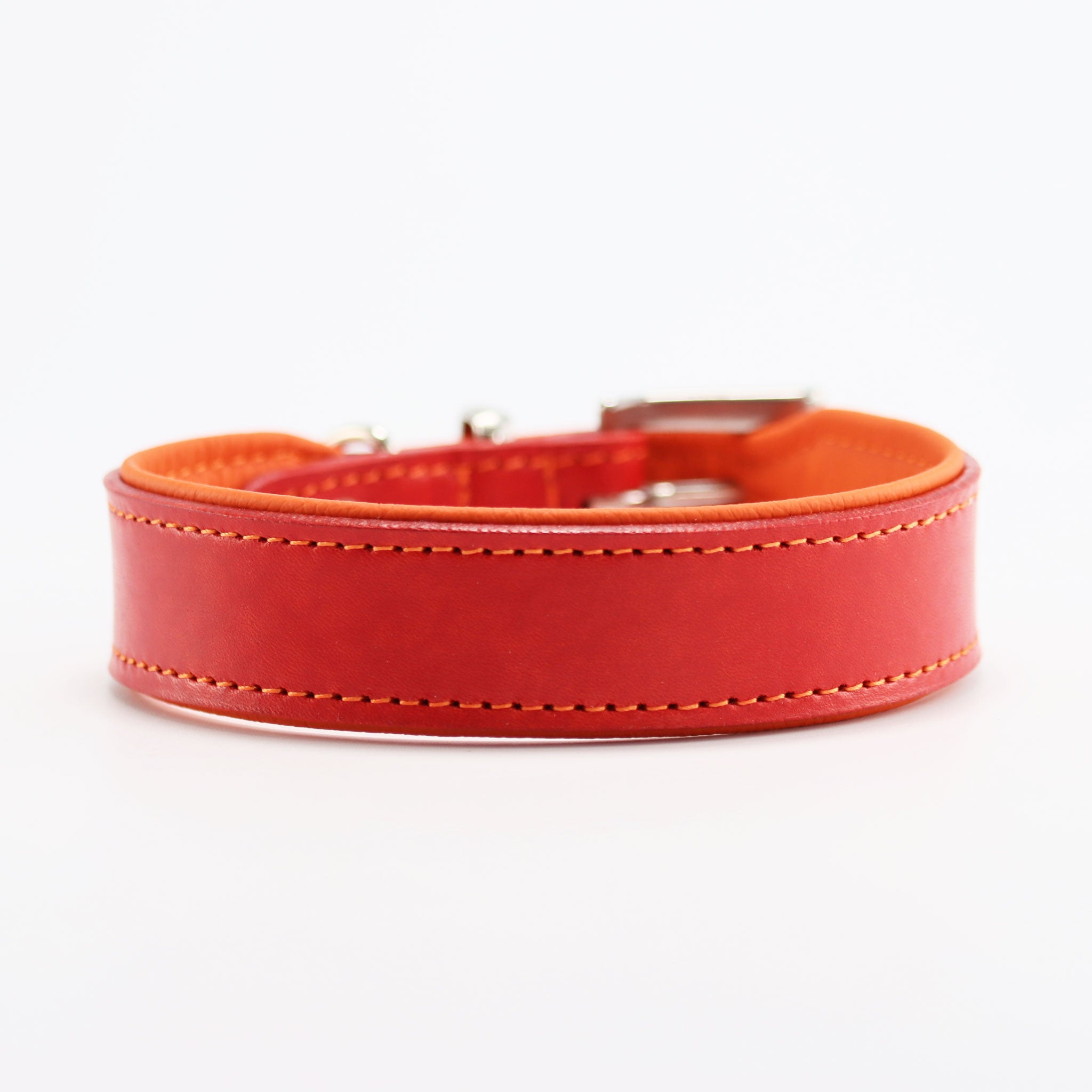 Vorderansicht Hundehalsband Blutorange mit Dornschließe aus Edelstahl (Stahl)