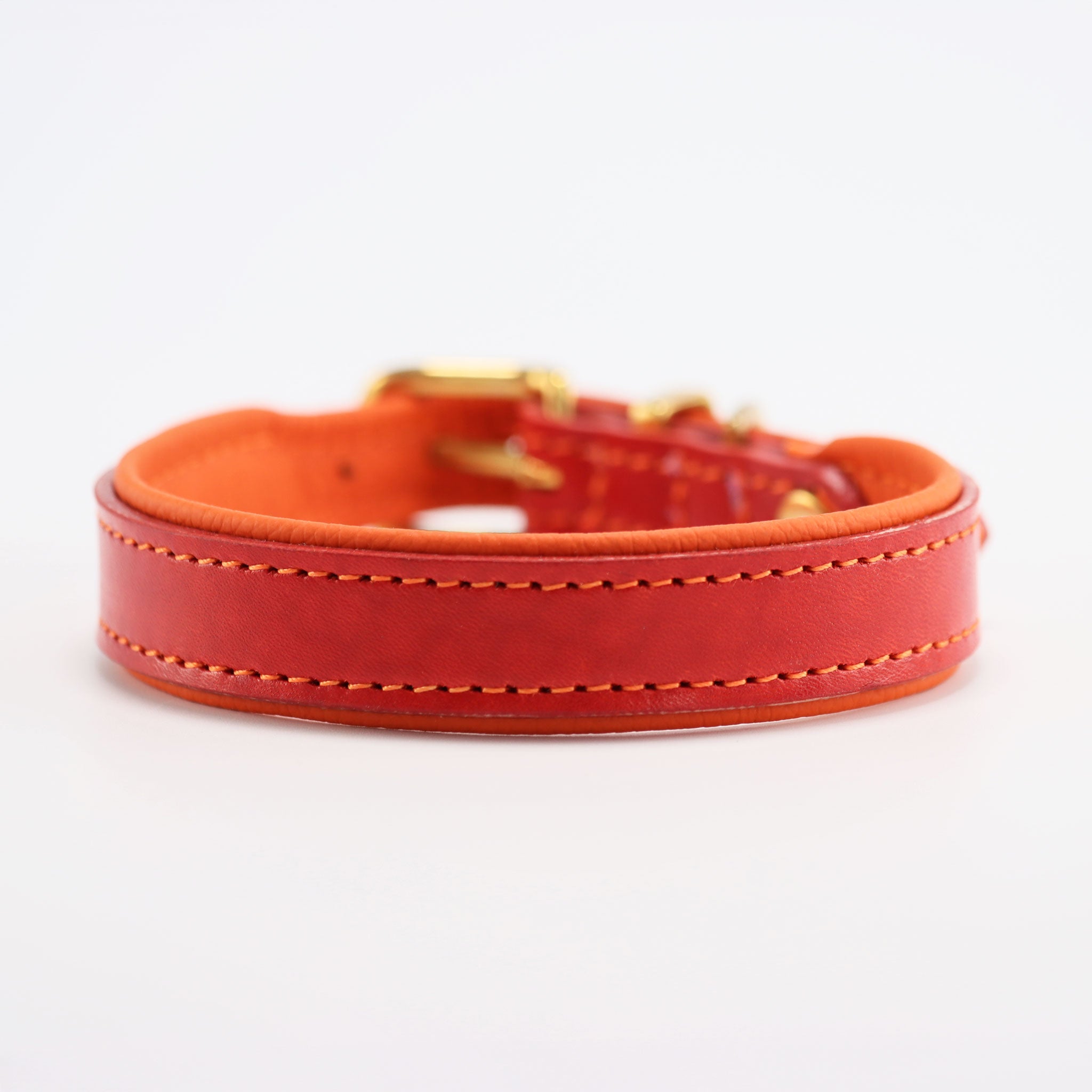 Vorderansicht Hundehalsband Blutorange mit Dornschließe aus Messing