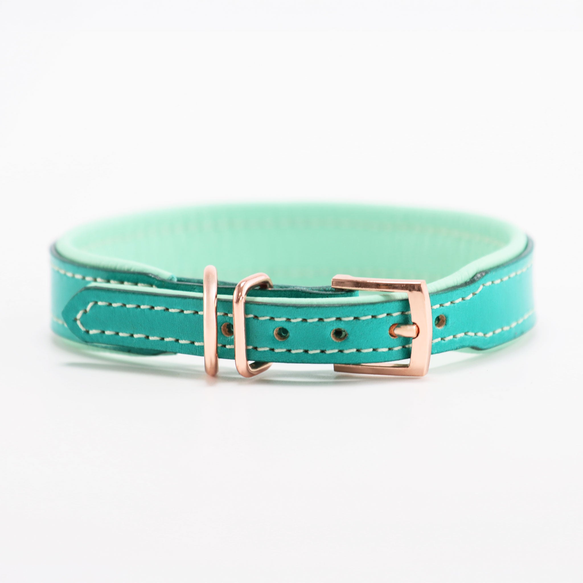 Verschluss-Detail: Lederhalsband mit Dornschließe und zwei Schlaufen