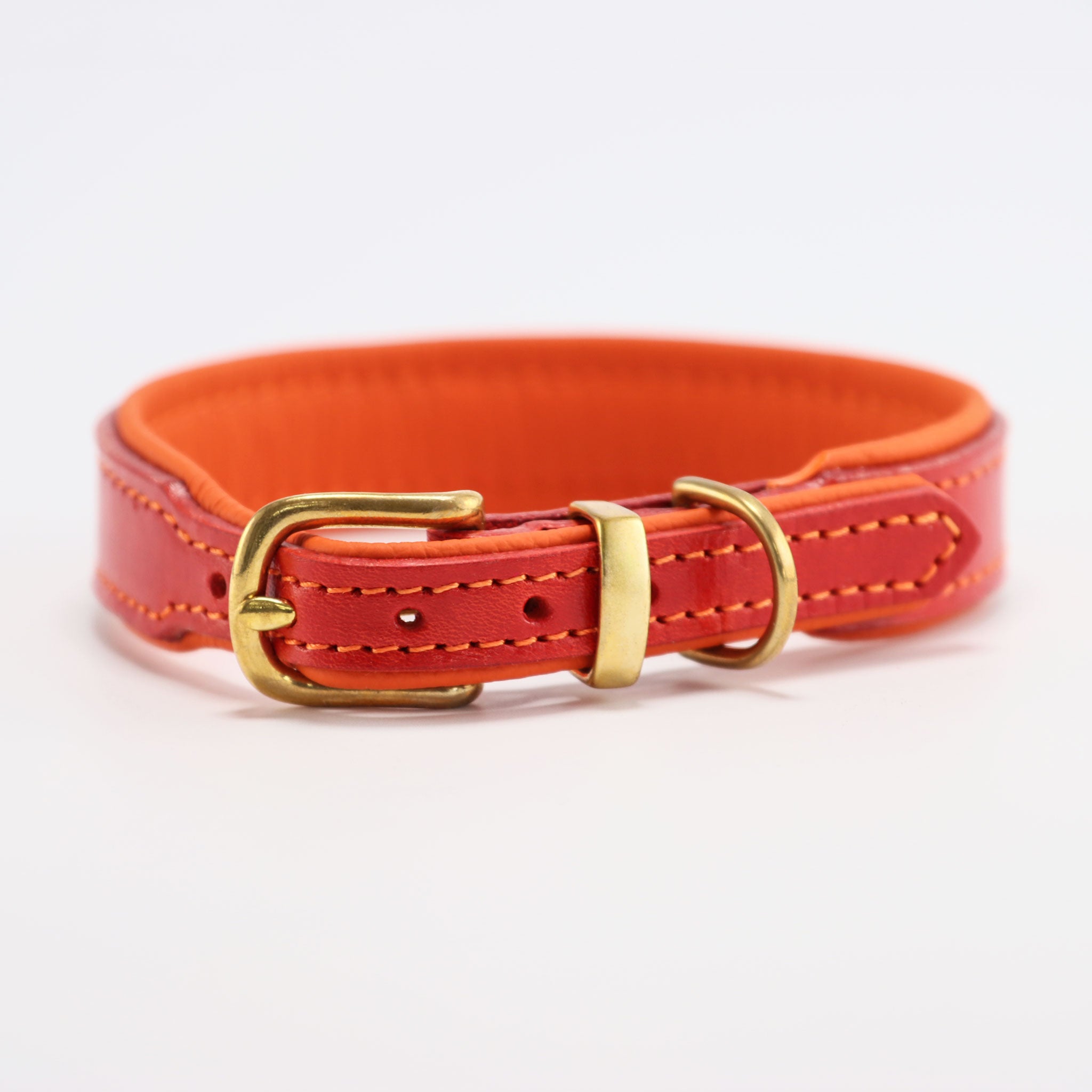 Hochwertige Dornschließe aus Messing an blutorangem Lederhalsband