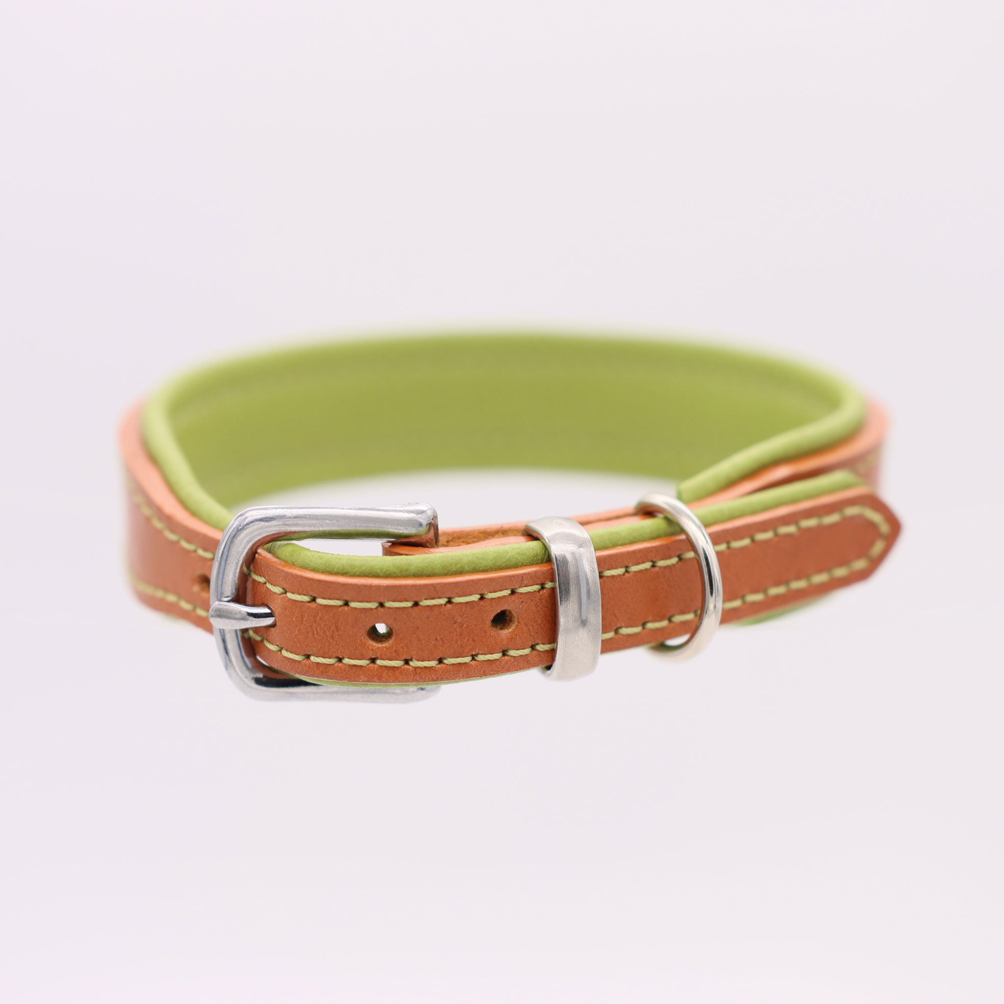 Rückansicht des Hundehalsbands mit weichem Hirschleder-Polster in Grün