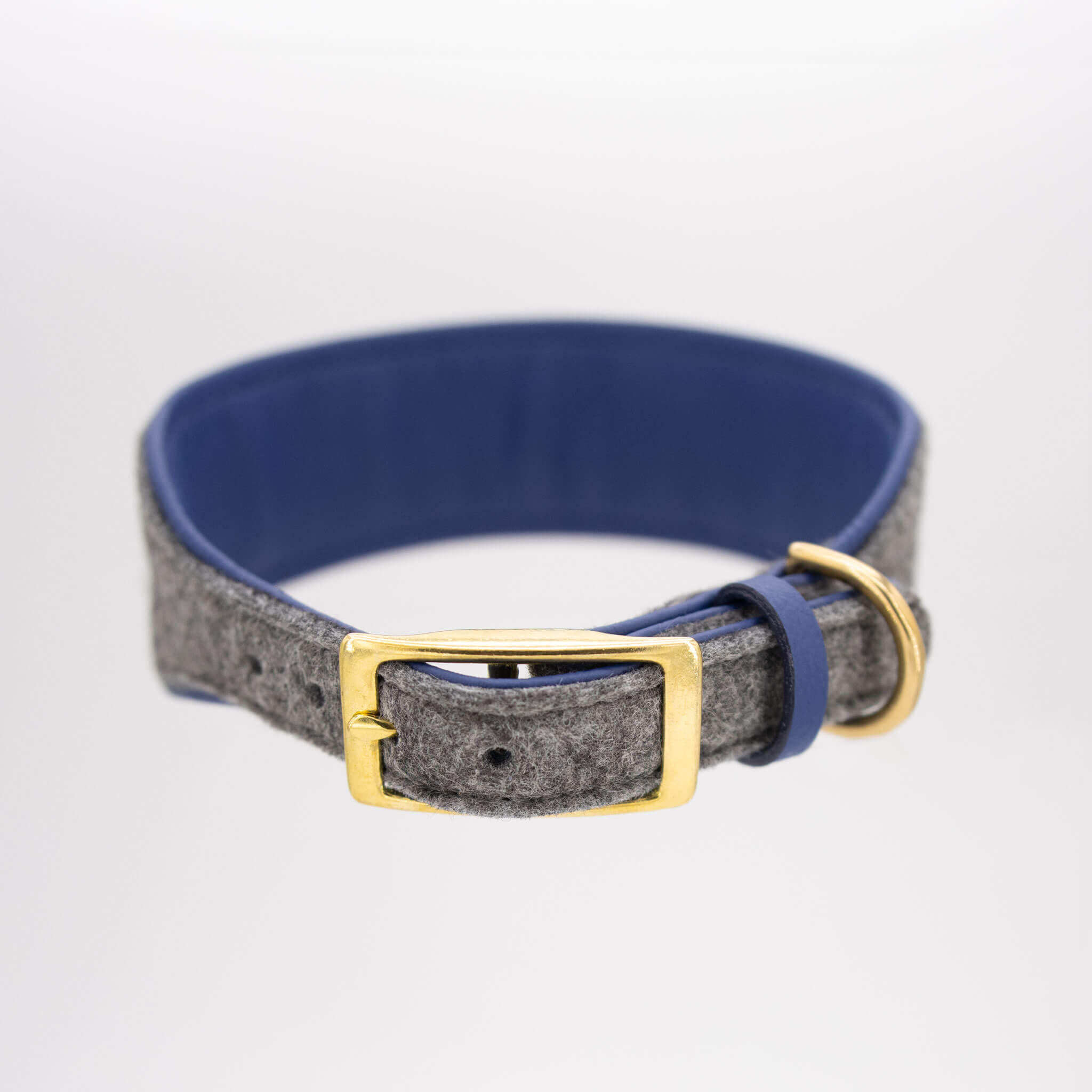 Messing-Stegschnalle und royalblaues Nappaleder Futter eines Hundehalsbands