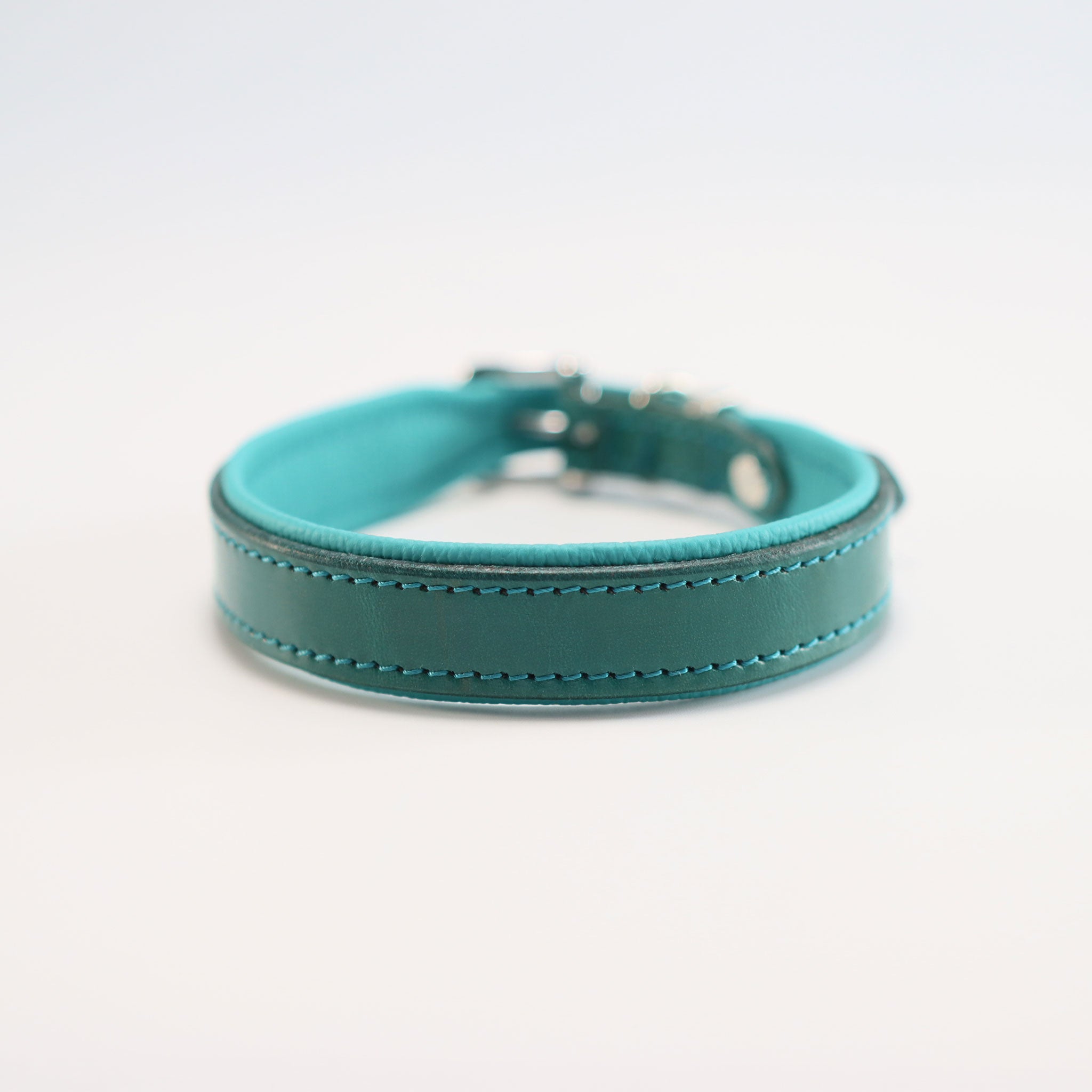 Ansicht Vorderseite Lederhalsband Türkis mit silberner Edelstahl-Schnalle